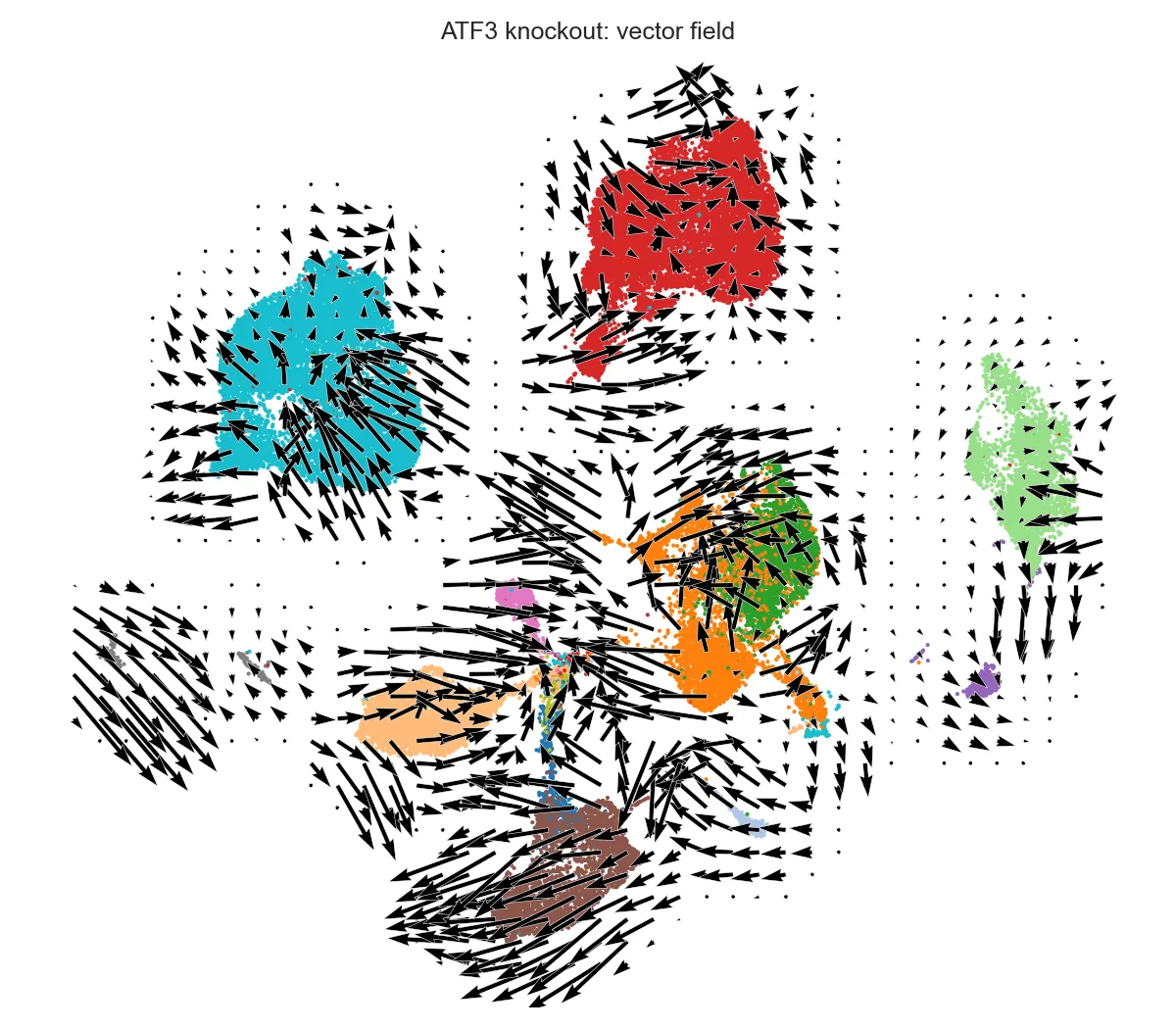 ATF3 敲除彩底向量场图