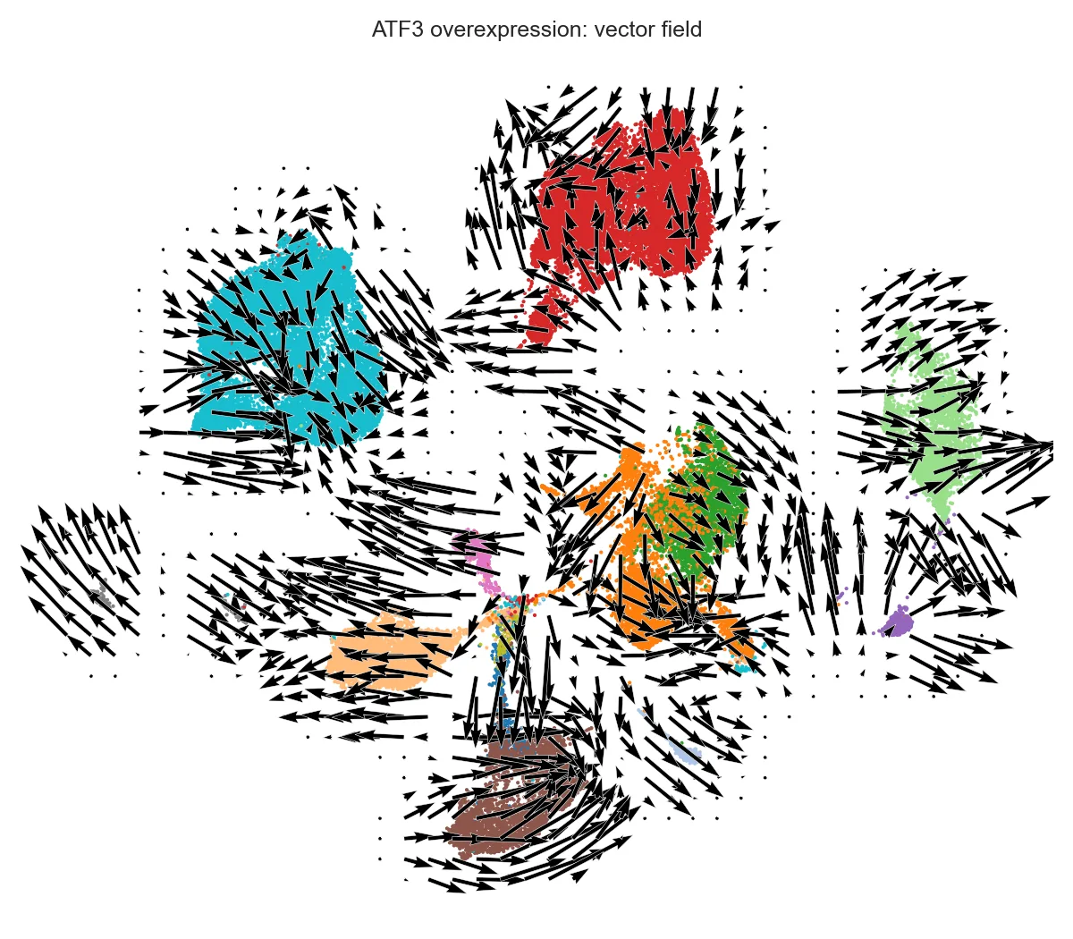 ATF3 过表达彩底向量场图