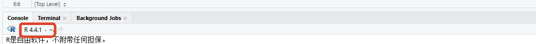 RStudio Console 中显示的 R 版本